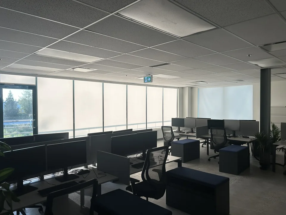 A row of roller shades provides a consistent window treatment across an open workspace