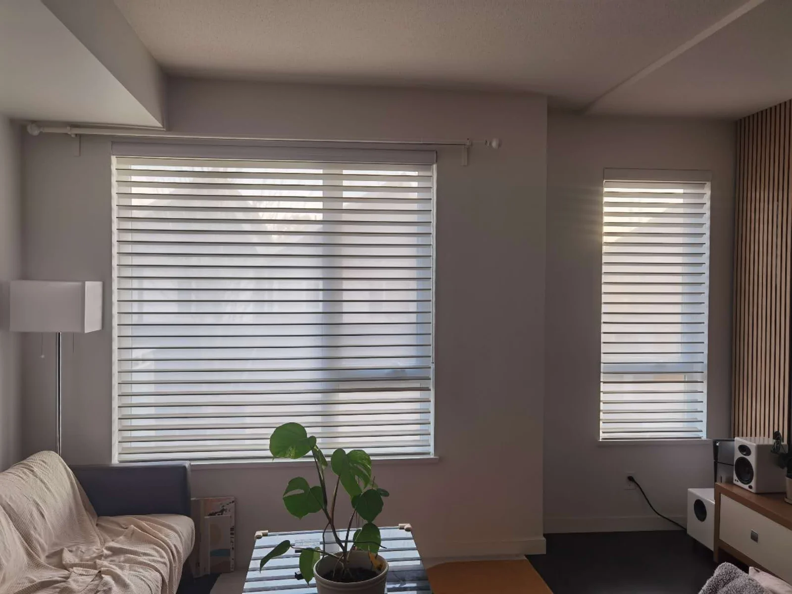 Matching white Vienna shades at wide and narrow living-room windows beside a sofa, leafy plant and timber wall